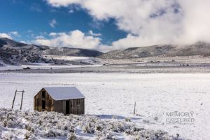 Snowy farms (5).jpg
